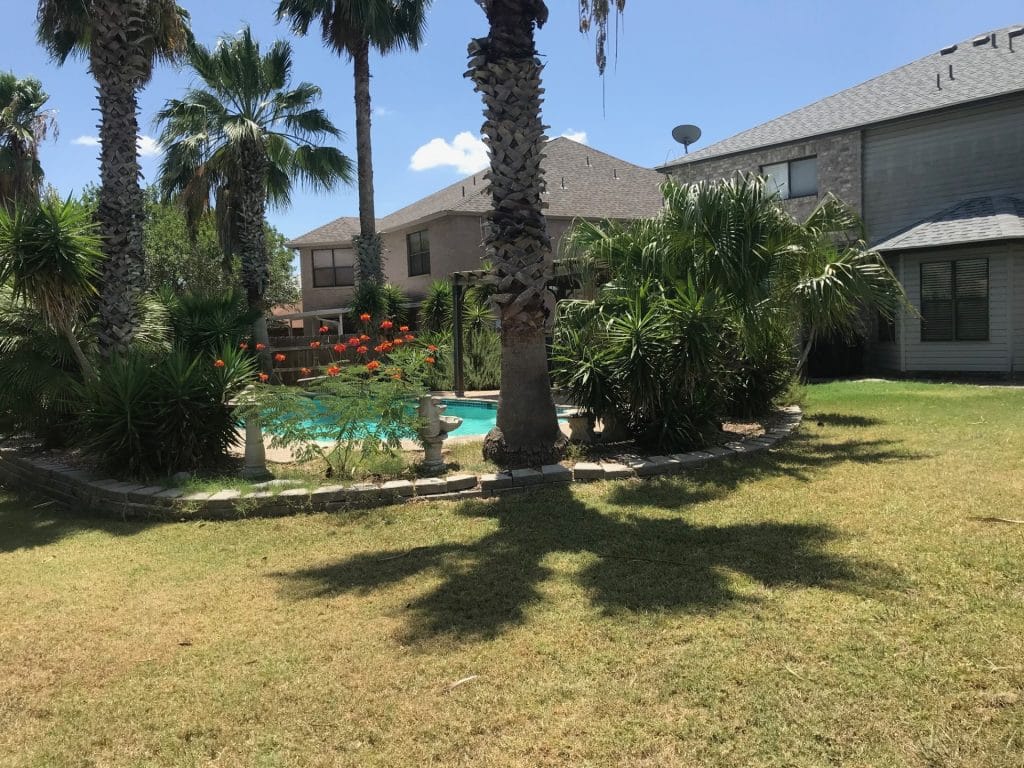 Relax in a beautiful outdoor space with palm trees and a refreshing pool, perfect for unwinding after a long day | Dream TDY